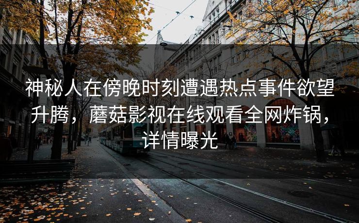 神秘人在傍晚时刻遭遇热点事件欲望升腾，蘑菇影视在线观看全网炸锅，详情曝光
