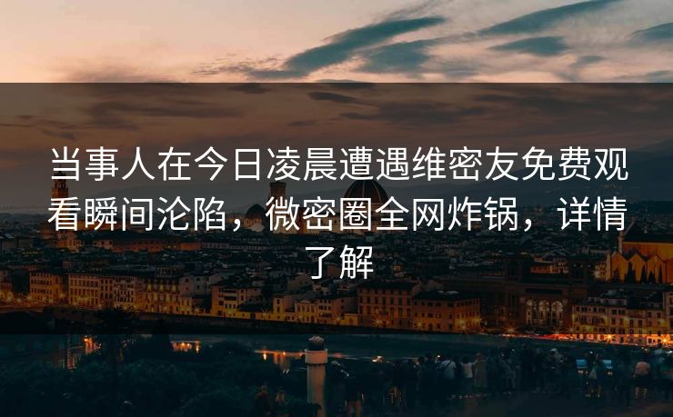 当事人在今日凌晨遭遇维密友免费观看瞬间沦陷，微密圈全网炸锅，详情了解