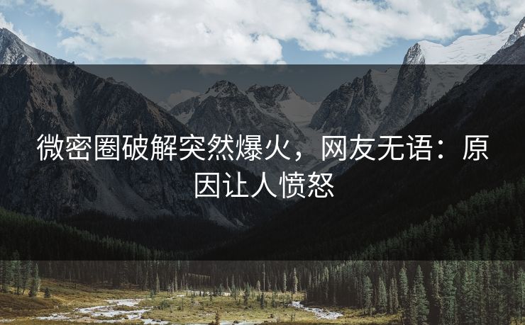 微密圈破解突然爆火，网友无语：原因让人愤怒