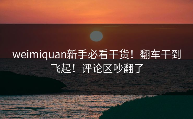 weimiquan新手必看干货！翻车干到飞起！评论区吵翻了