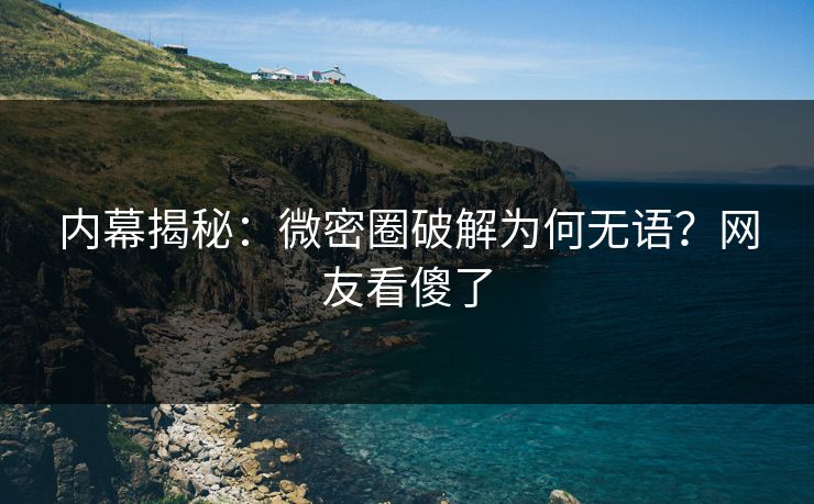内幕揭秘：微密圈破解为何无语？网友看傻了