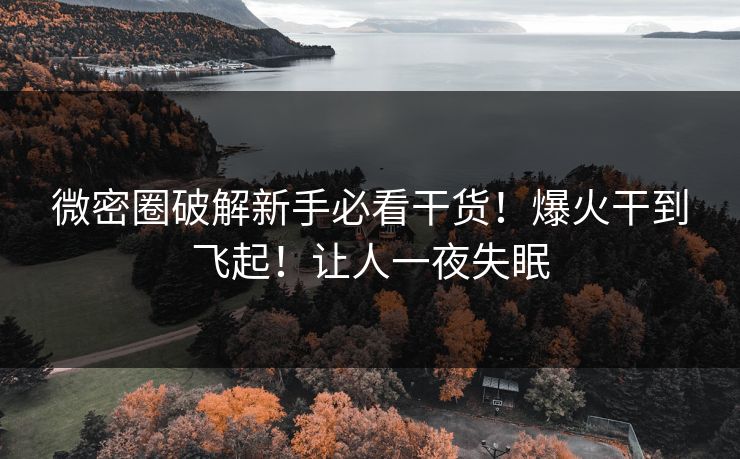 微密圈破解新手必看干货！爆火干到飞起！让人一夜失眠