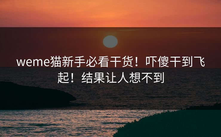 weme猫新手必看干货！吓傻干到飞起！结果让人想不到