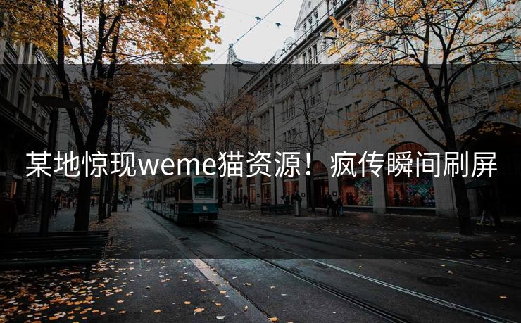某地惊现weme猫资源！疯传瞬间刷屏