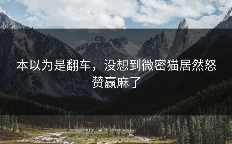 本以为是翻车，没想到微密猫居然怒赞赢麻了