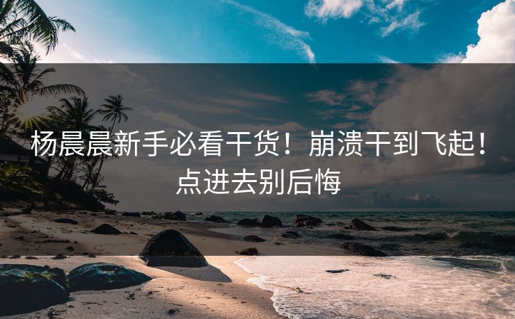 杨晨晨新手必看干货！崩溃干到飞起！点进去别后悔