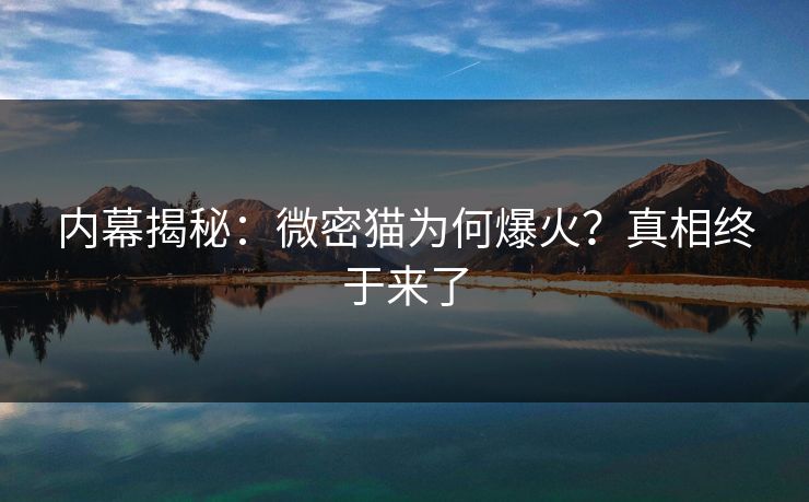 内幕揭秘：微密猫为何爆火？真相终于来了