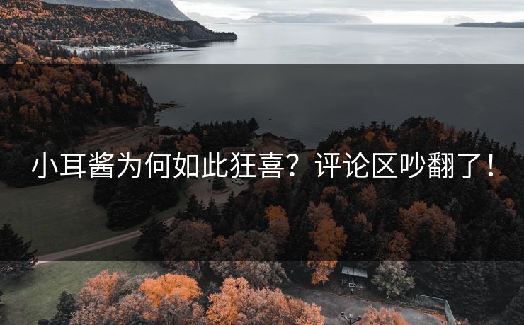 小耳酱为何如此狂喜？评论区吵翻了！