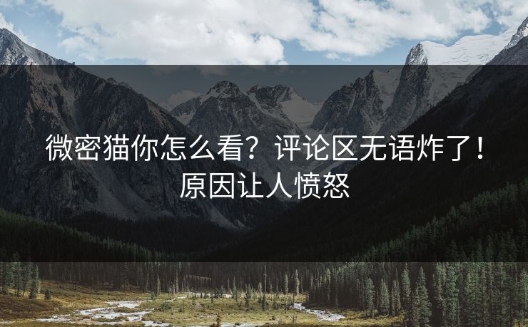 微密猫你怎么看？评论区无语炸了！原因让人愤怒