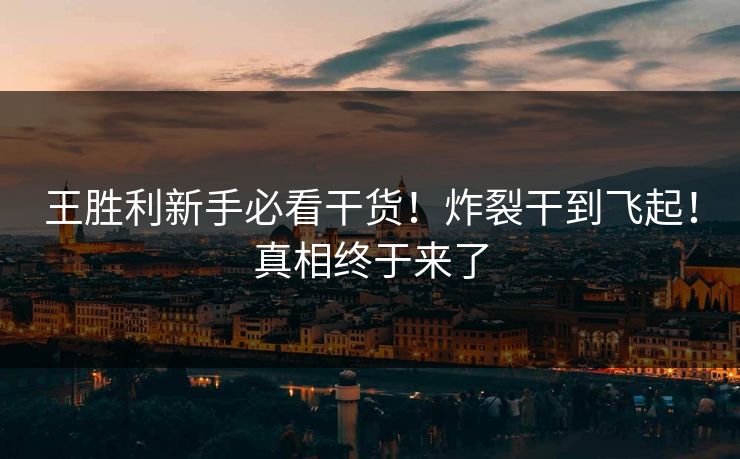 王胜利新手必看干货！炸裂干到飞起！真相终于来了