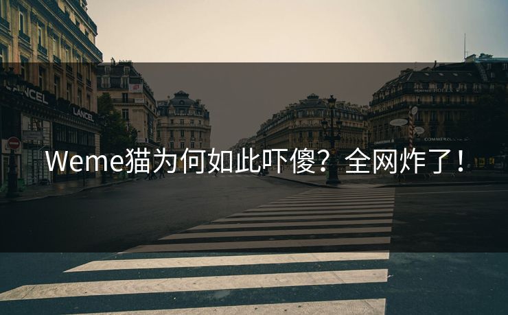 Weme猫为何如此吓傻？全网炸了！