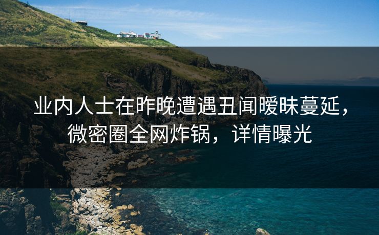 业内人士在昨晚遭遇丑闻暧昧蔓延，微密圈全网炸锅，详情曝光