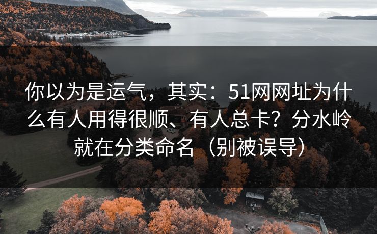 你以为是运气，其实：51网网址为什么有人用得很顺、有人总卡？分水岭就在分类命名（别被误导）